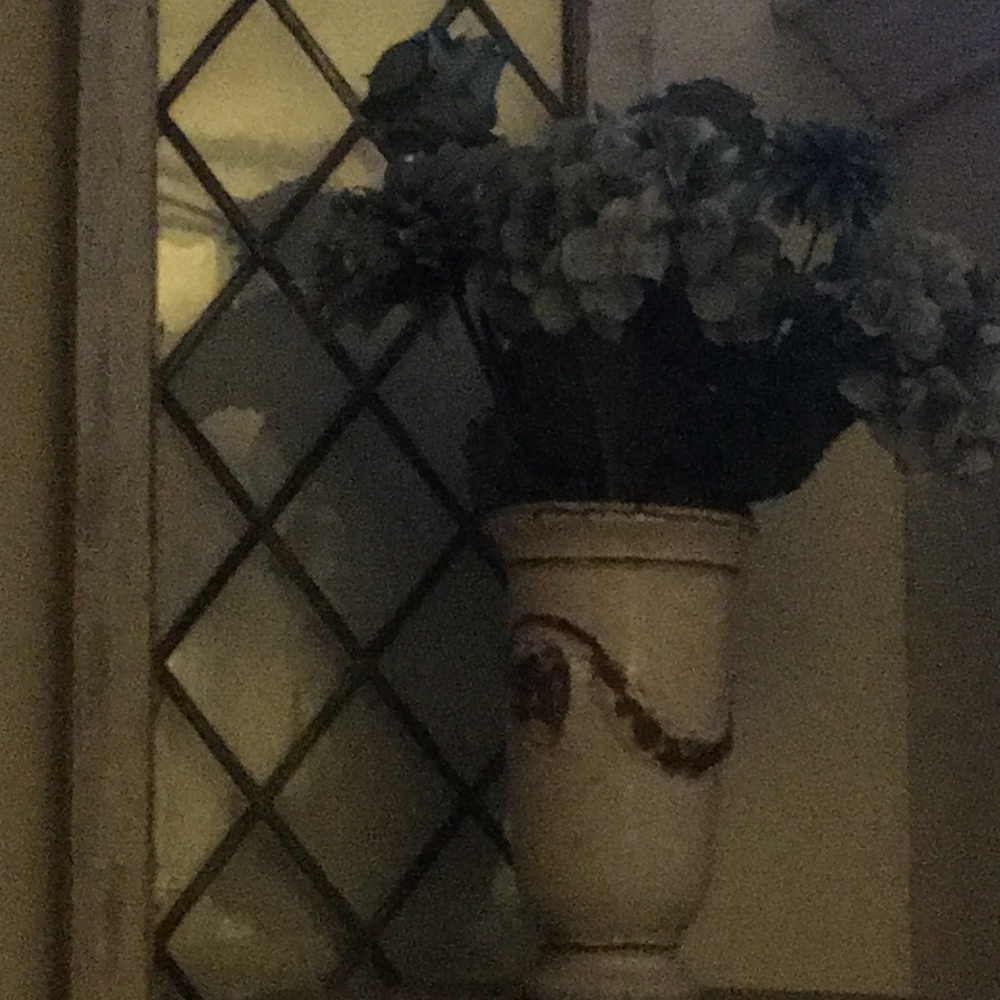 Meet your Posher, Dina